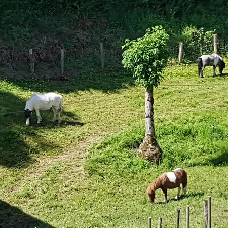 Διαμέρισμα Gite Alexandra *